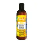BioGentleaf Hair Loss Remedy Work In Progress Champú 200ml
